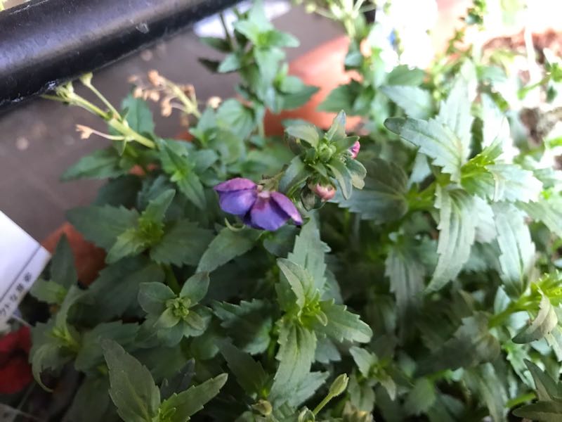 rblog-20190324174746-08.jpg