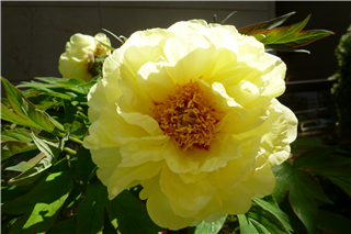 P1040809.png