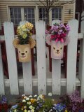 ケープコッド３.jpg