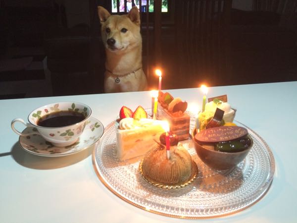 rblog-20160112023522-00.jpg