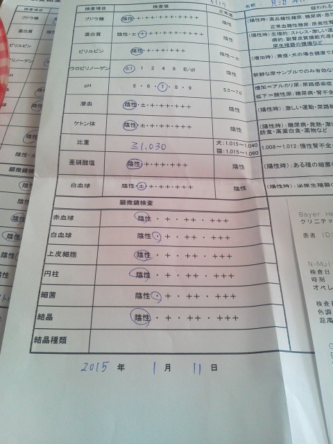 検査3