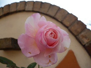 P1280067ss.jpg