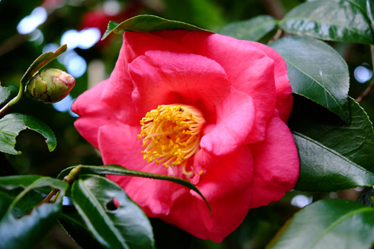 2015 12 15_1141.jpg