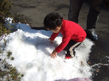 雪に興奮.jpg