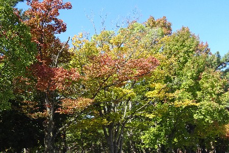 DSC02766.JPG