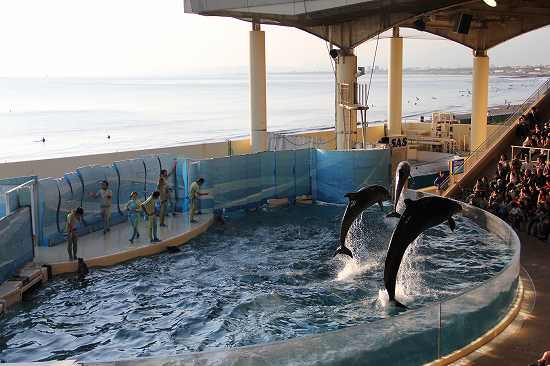 新江ノ島水族館