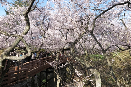高遠城03