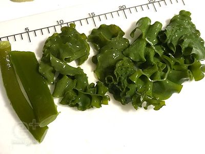 生の「めかぶ」初めて調理する・・・ | 風にそよぐような感じで