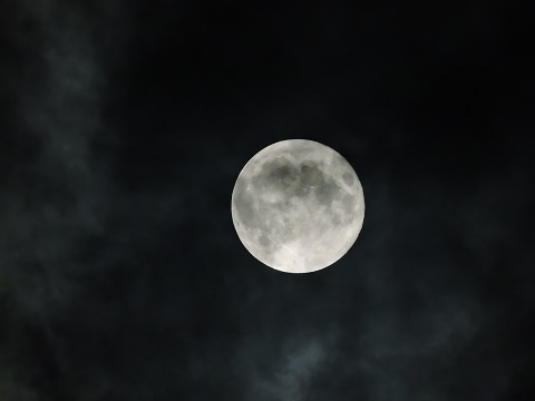DSCN3161s.JPG