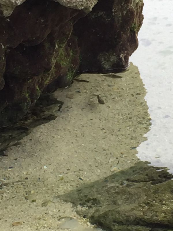 rblog-20150106075100-04.jpg