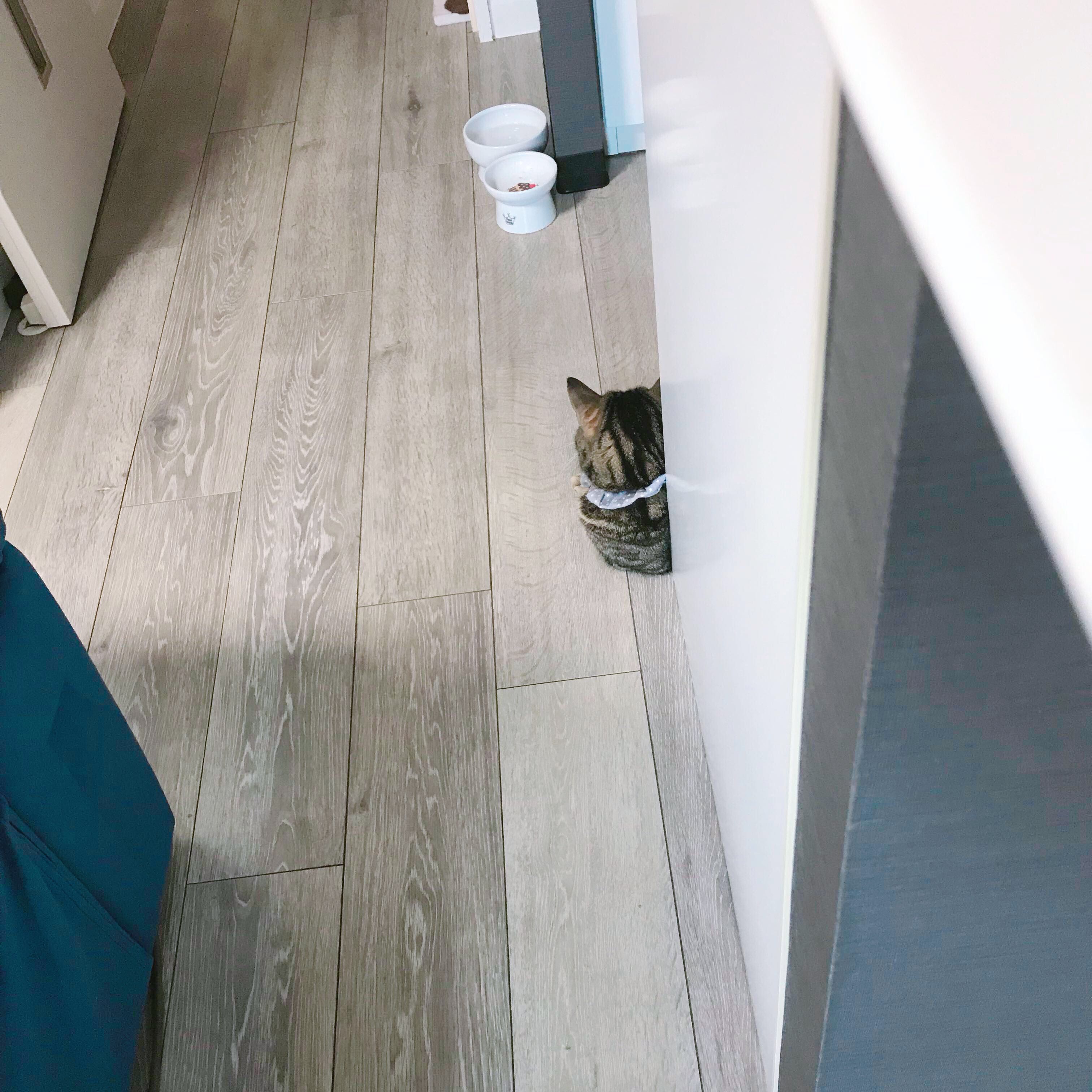 今月のネイル はなしよ 夏のカビ注意報 シンプルに生活するブログ 楽天ブログ