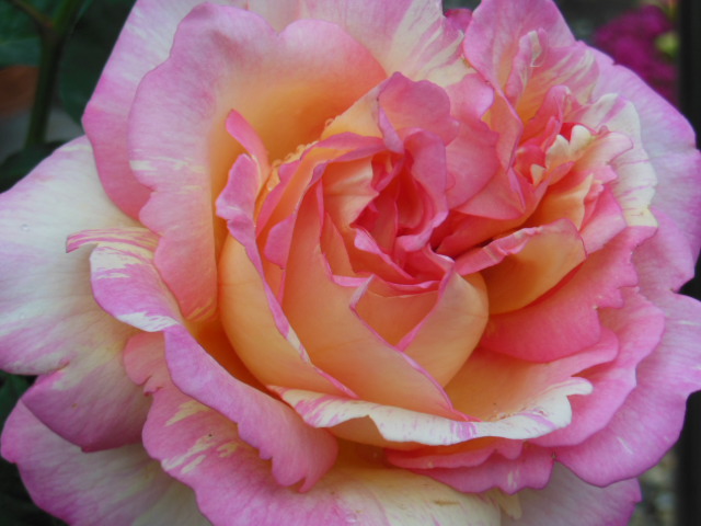 DSCN0210.JPG