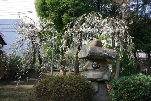 池上梅園