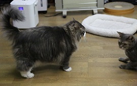 5DA_4407-19.jpg