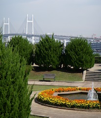 DSCN1619.jpg
