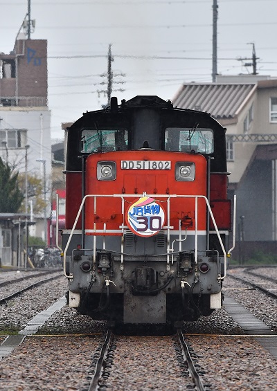 113.JPG