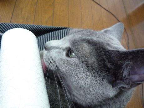 P1240589 - コピー.JPG