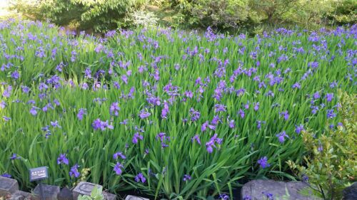 rblog-20160505205201-07.jpg