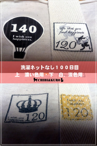 アイロンネットなし100回