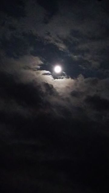 o0360064012656797809.jpg