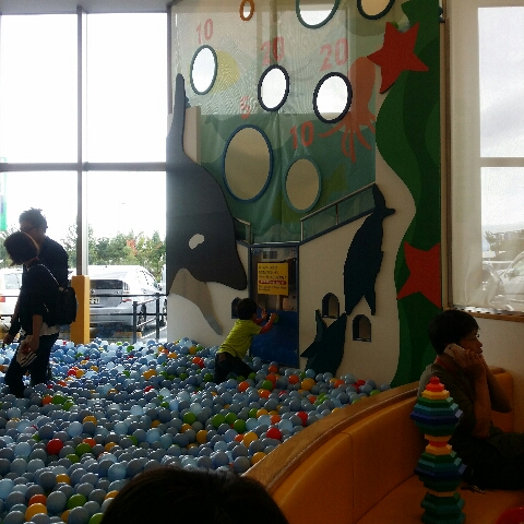 20141006_121837_resize_20141006_123616.jpg