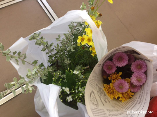 flower2016092200.jpg