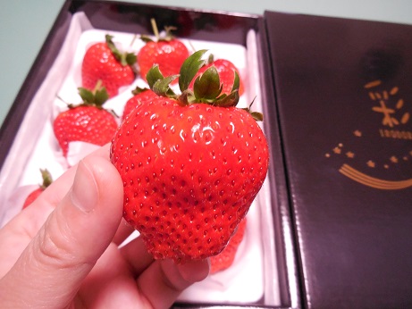 DSCN9937.JPG