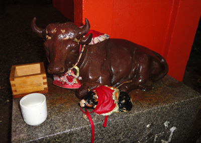 DSC01483-.jpg