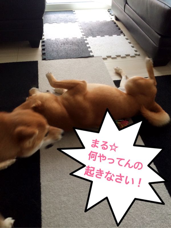 rblog-20170821232548-00.jpg
