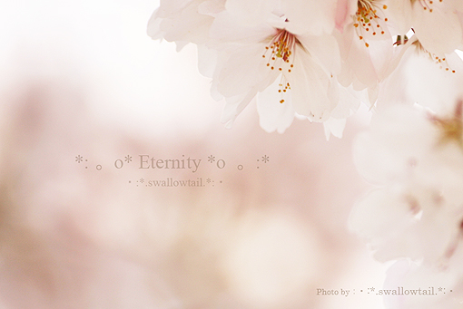 Photo by swallowtail　N.jpg