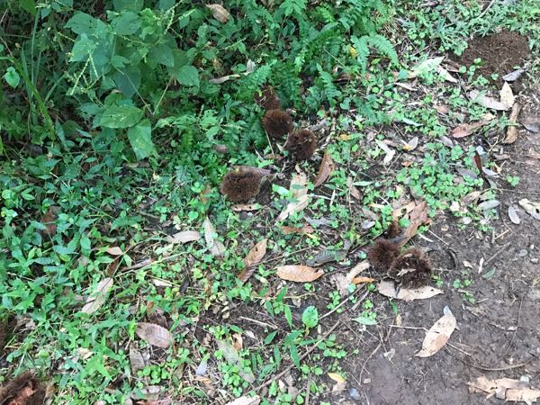 rblog-20170929122708-08.jpg