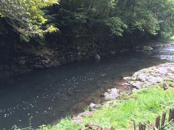 rblog-20160615100300-04.jpg