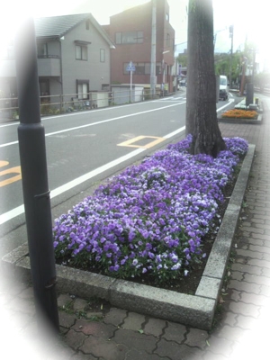 P1010753.jpg