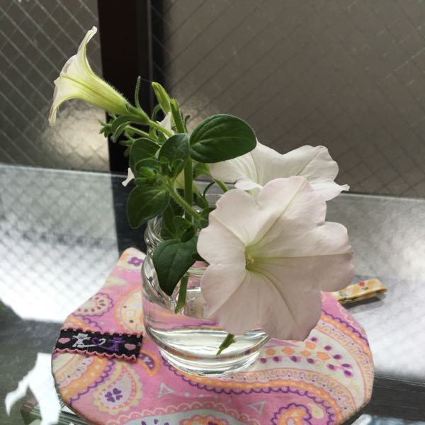 rblog-20160526120051-02.jpg