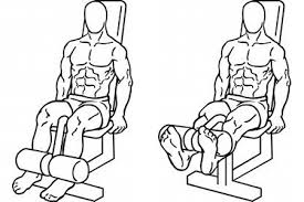 レッグエクステンション