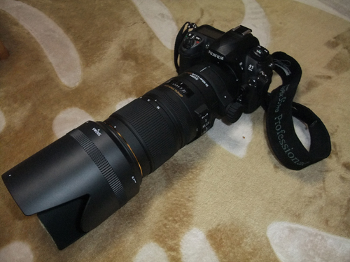 2013_02170204.jpg