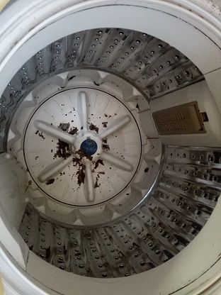 ぎゃぼっ 洗濯機にワカメがビロビロビロ Junの お気楽 広州 中国日記 ラクテン 楽天ブログ