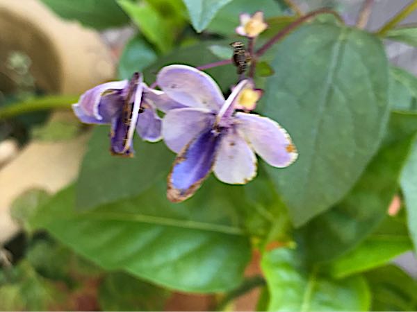 rblog-20181029111534-01.jpg
