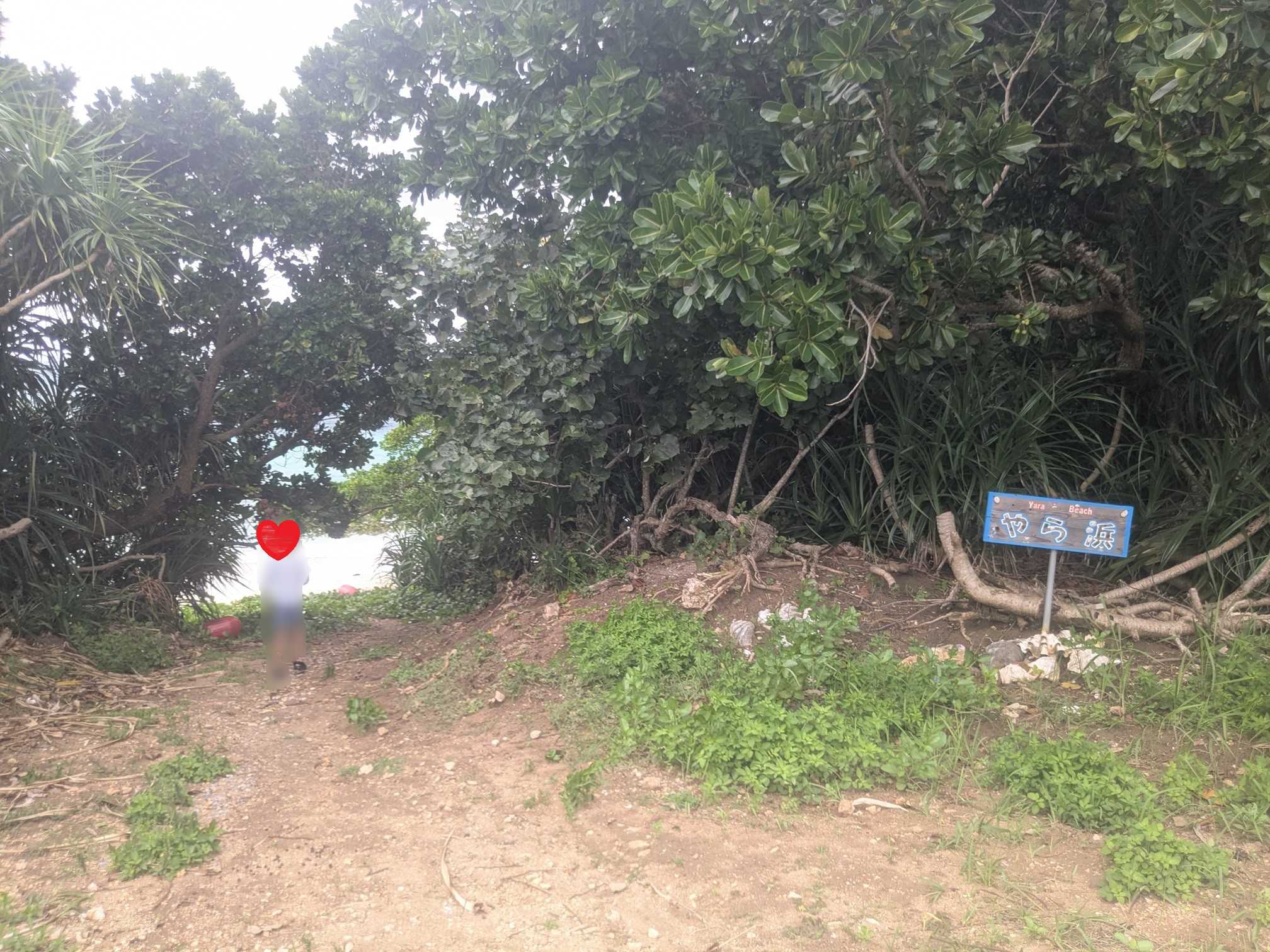 西表島　海猫　アクティビティツアー　鳩間島 屋良浜の入口