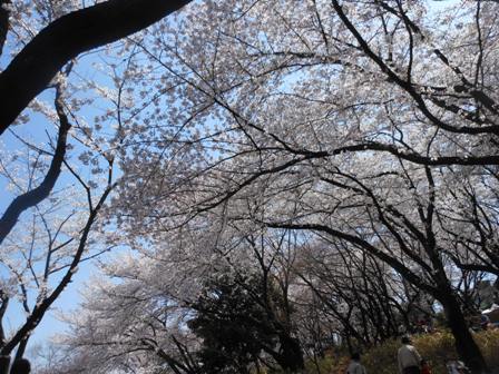 DSCN3460.jpg