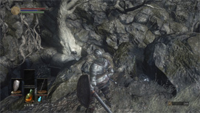DS13.jpg
