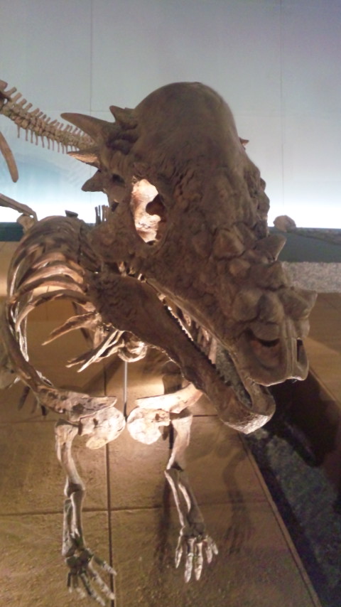 パキケファロサウルス