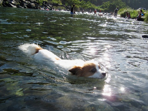 2012-0826-22.jpg