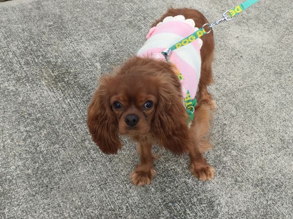 rblog-20160109170423-04.jpg