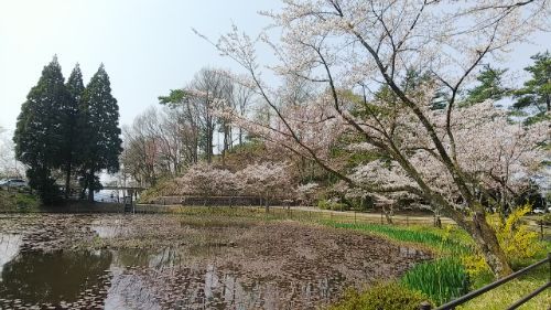 rblog-20180402223228-07.jpg