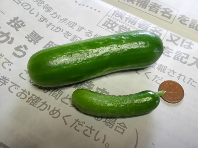 みにきゅうり.png
