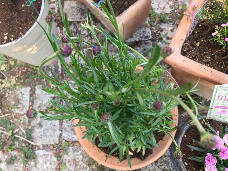 rblog-20190324173828-06.jpg