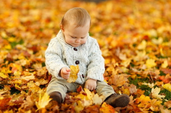 autumn-165184_640.jpg