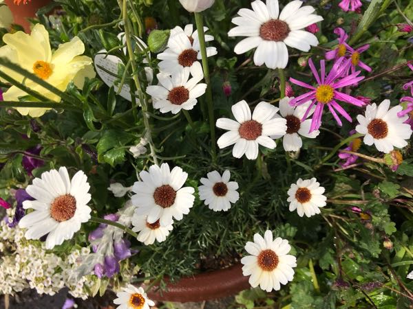 rblog-20190401163305-07.jpg