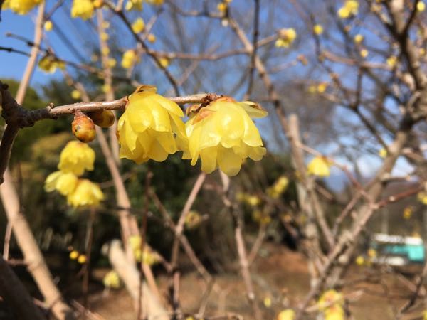 rblog-20180214120254-05.jpg
